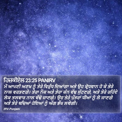 ਹਿਜ਼ਕੀਏਲ 23:25 PANIRV Bible Verse Image