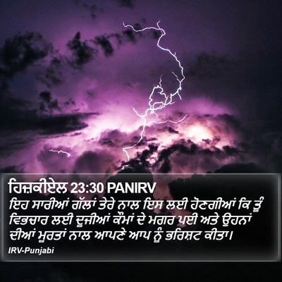 ਹਿਜ਼ਕੀਏਲ 23:30 PANIRV Bible Verse Image