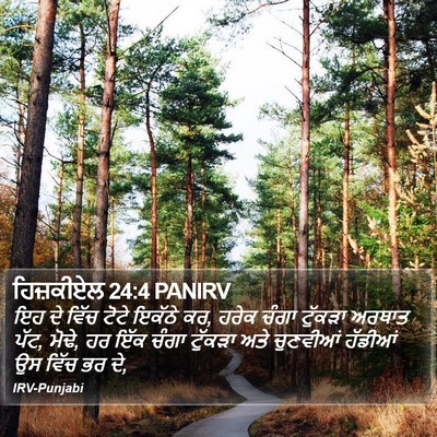 ਹਿਜ਼ਕੀਏਲ 24:4 PANIRV Bible Verse Image
