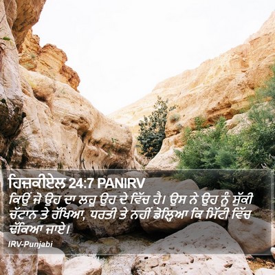 ਹਿਜ਼ਕੀਏਲ 24:7 PANIRV Bible Verse Image