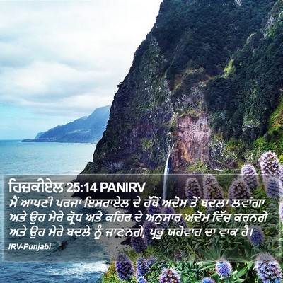 ਹਿਜ਼ਕੀਏਲ 25:14 PANIRV Bible Verse Image