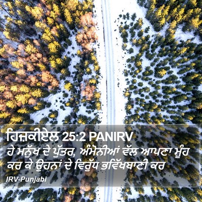 ਹਿਜ਼ਕੀਏਲ 25:2 PANIRV Bible Verse Image