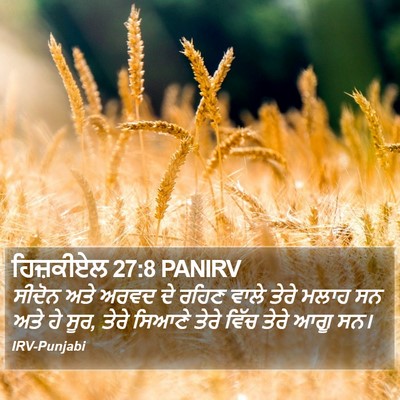 ਹਿਜ਼ਕੀਏਲ 27:8 PANIRV Bible Verse Image
