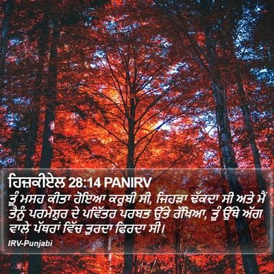 ਹਿਜ਼ਕੀਏਲ 28:14 PANIRV Bible Verse Image