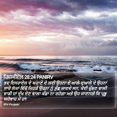 ਹਿਜ਼ਕੀਏਲ 28:24 PANIRV Bible Verse Image
