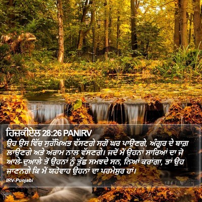 ਹਿਜ਼ਕੀਏਲ 28:26 PANIRV Bible Verse Image