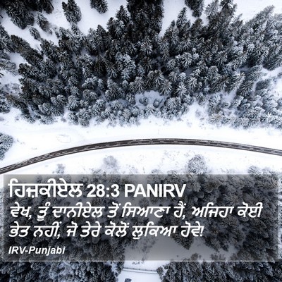 ਹਿਜ਼ਕੀਏਲ 28:3 PANIRV Bible Verse Image