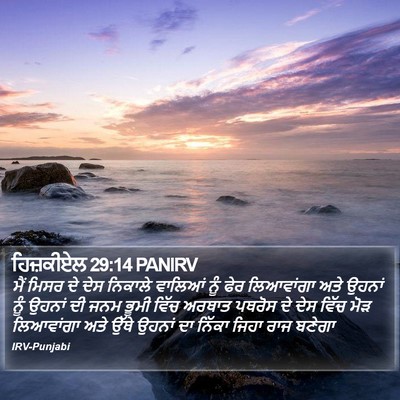 ਹਿਜ਼ਕੀਏਲ 29:14 PANIRV Bible Verse Image