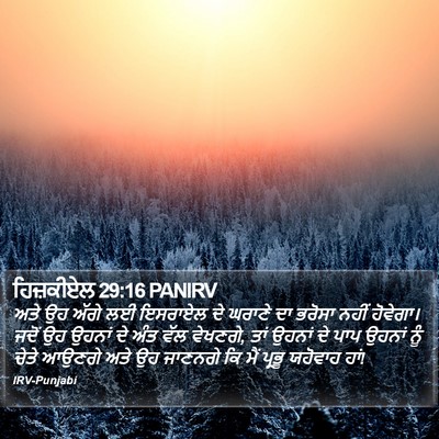 ਹਿਜ਼ਕੀਏਲ 29:16 PANIRV Bible Verse Image