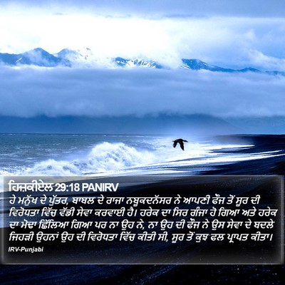 ਹਿਜ਼ਕੀਏਲ 29:18 PANIRV Bible Verse Image