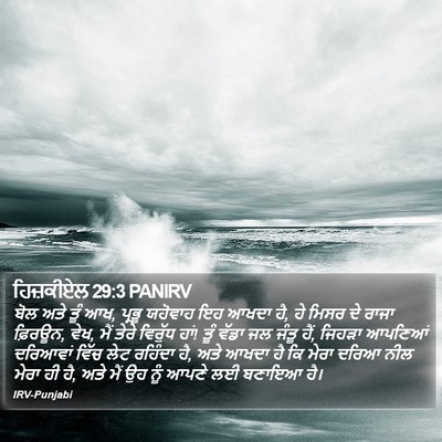 ਹਿਜ਼ਕੀਏਲ 29:3 PANIRV Bible Verse Image