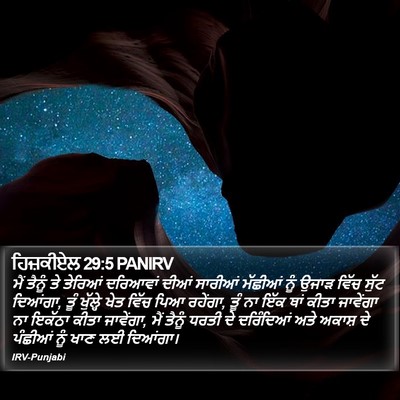 ਹਿਜ਼ਕੀਏਲ 29:5 PANIRV Bible Verse Image