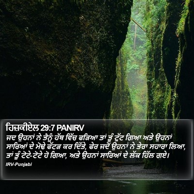 ਹਿਜ਼ਕੀਏਲ 29:7 PANIRV Bible Verse Image