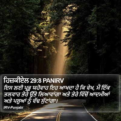 ਹਿਜ਼ਕੀਏਲ 29:8 PANIRV Bible Verse Image