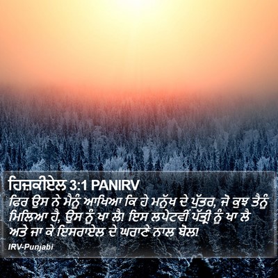 ਹਿਜ਼ਕੀਏਲ 3:1 PANIRV Bible Verse Image