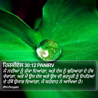 ਹਿਜ਼ਕੀਏਲ 30:12 PANIRV Bible Verse Image