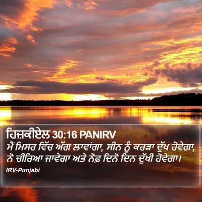 ਹਿਜ਼ਕੀਏਲ 30:16 PANIRV Bible Verse Image