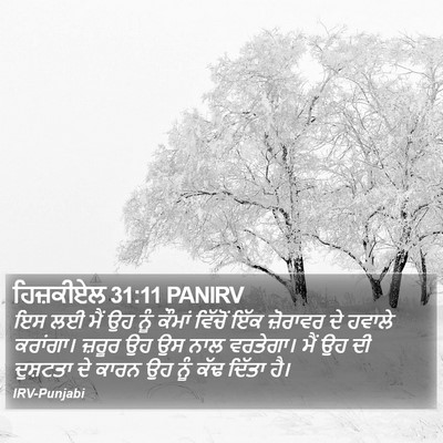 ਹਿਜ਼ਕੀਏਲ 31:11 PANIRV Bible Verse Image