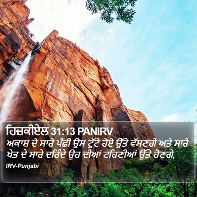ਹਿਜ਼ਕੀਏਲ 31:13 PANIRV Bible Verse Image