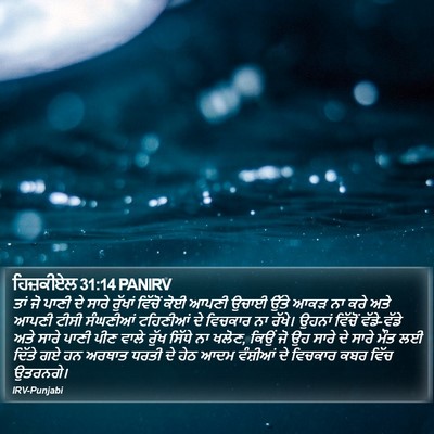 ਹਿਜ਼ਕੀਏਲ 31:14 PANIRV Bible Verse Image