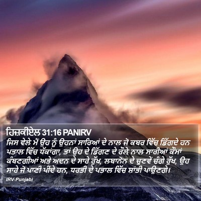 ਹਿਜ਼ਕੀਏਲ 31:16 PANIRV Bible Verse Image