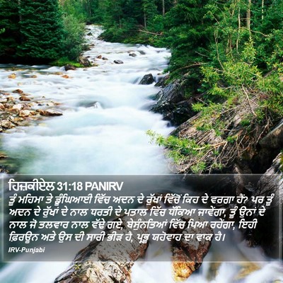 ਹਿਜ਼ਕੀਏਲ 31:18 PANIRV Bible Verse Image