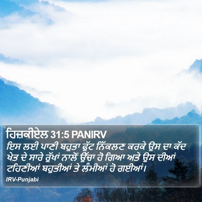 ਹਿਜ਼ਕੀਏਲ 31:5 PANIRV Bible Verse Image