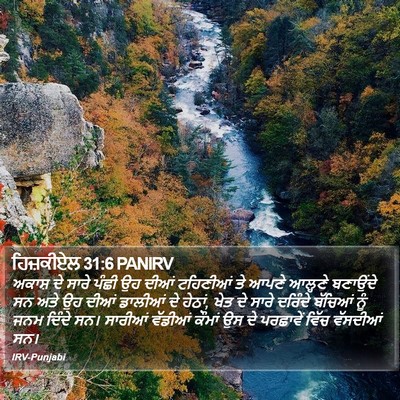 ਹਿਜ਼ਕੀਏਲ 31:6 PANIRV Bible Verse Image