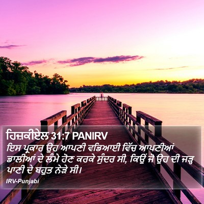 ਹਿਜ਼ਕੀਏਲ 31:7 PANIRV Bible Verse Image