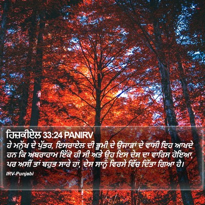 ਹਿਜ਼ਕੀਏਲ 33:24 PANIRV Bible Verse Image