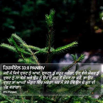 ਹਿਜ਼ਕੀਏਲ 33:8 PANIRV Bible Verse Image