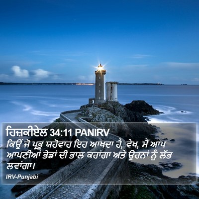ਹਿਜ਼ਕੀਏਲ 34:11 PANIRV Bible Verse Image