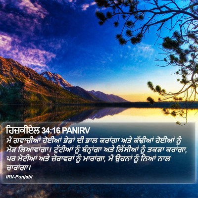 ਹਿਜ਼ਕੀਏਲ 34:16 PANIRV Bible Verse Image