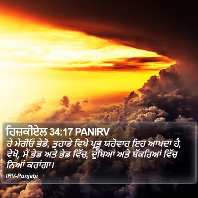 ਹਿਜ਼ਕੀਏਲ 34:17 PANIRV Bible Verse Image