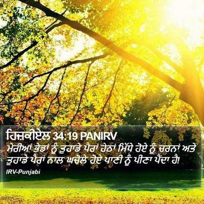 ਹਿਜ਼ਕੀਏਲ 34:19 PANIRV Bible Verse Image