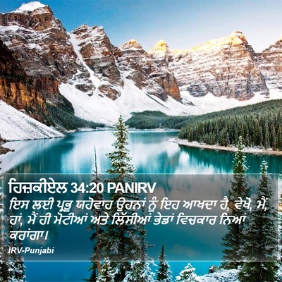 ਹਿਜ਼ਕੀਏਲ 34:20 PANIRV Bible Verse Image