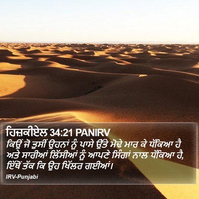 ਹਿਜ਼ਕੀਏਲ 34:21 PANIRV Bible Verse Image