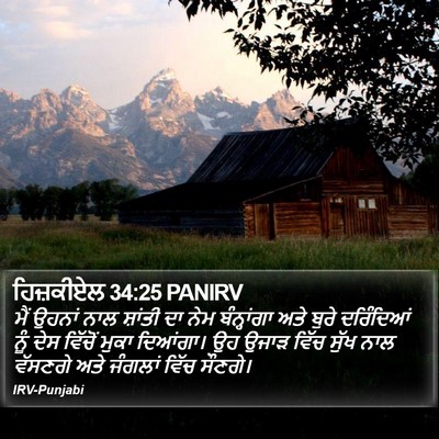 ਹਿਜ਼ਕੀਏਲ 34:25 PANIRV Bible Verse Image