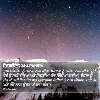 ਹਿਜ਼ਕੀਏਲ 34:4 PANIRV Bible Verse Image