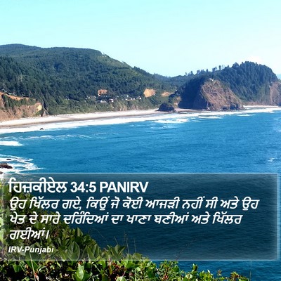 ਹਿਜ਼ਕੀਏਲ 34:5 PANIRV Bible Verse Image
