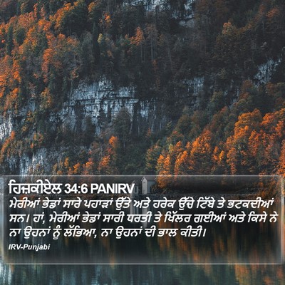 ਹਿਜ਼ਕੀਏਲ 34:6 PANIRV Bible Verse Image