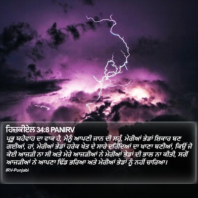 ਹਿਜ਼ਕੀਏਲ 34:8 PANIRV Bible Verse Image