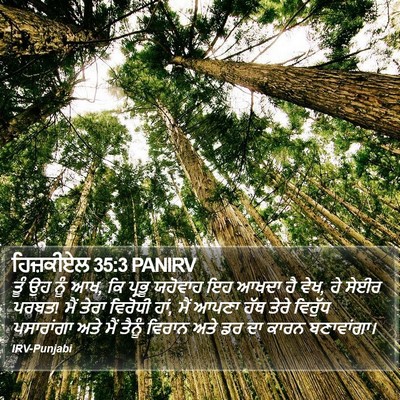 ਹਿਜ਼ਕੀਏਲ 35:3 PANIRV Bible Verse Image