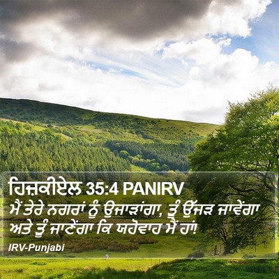 ਹਿਜ਼ਕੀਏਲ 35:4 PANIRV Bible Verse Image