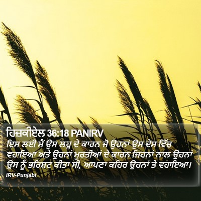 ਹਿਜ਼ਕੀਏਲ 36:18 PANIRV Bible Verse Image
