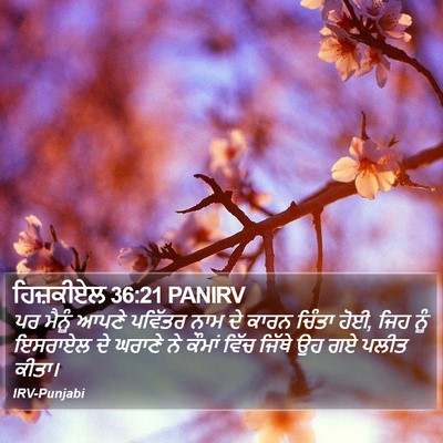 ਹਿਜ਼ਕੀਏਲ 36:21 PANIRV Bible Verse Image