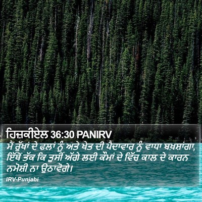 ਹਿਜ਼ਕੀਏਲ 36:30 PANIRV Bible Verse Image