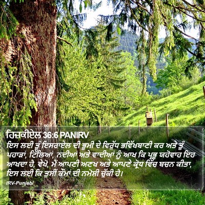 ਹਿਜ਼ਕੀਏਲ 36:6 PANIRV Bible Verse Image