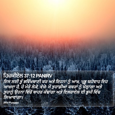 ਹਿਜ਼ਕੀਏਲ 37:12 PANIRV Bible Verse Image