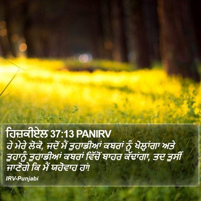 ਹਿਜ਼ਕੀਏਲ 37:13 PANIRV Bible Verse Image